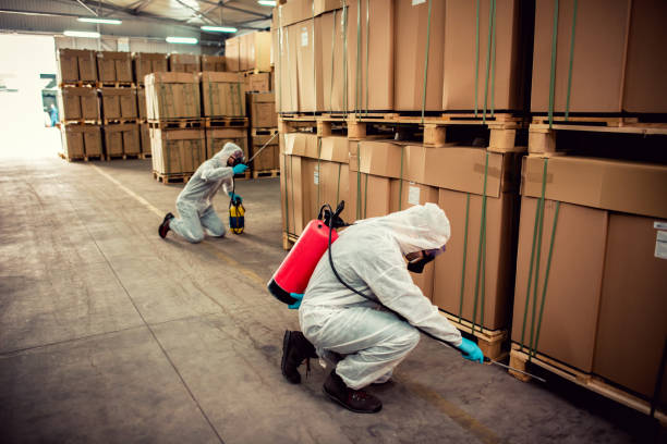 Best Exterminator Services  in Salida, CA