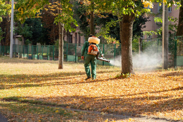 Best Wildlife Control Services  in Salida, CA