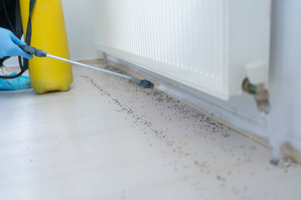 Best Exterminator Services  in Salida, CA